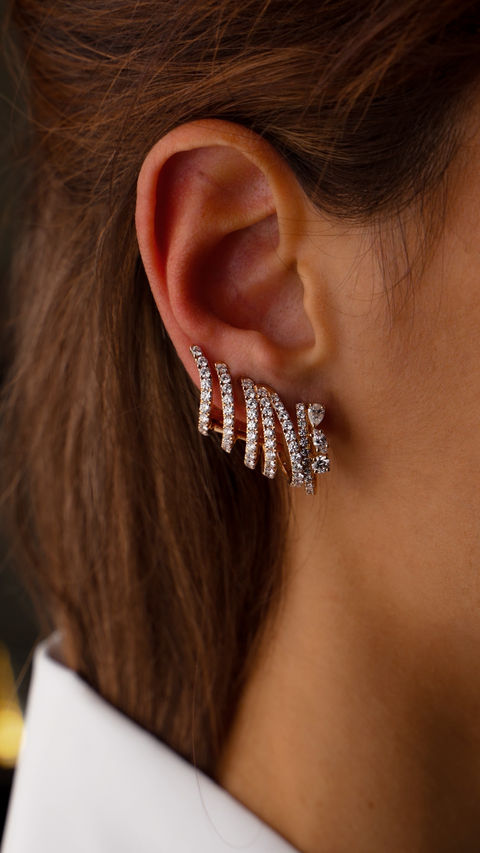 Gold and Diamonds Earring