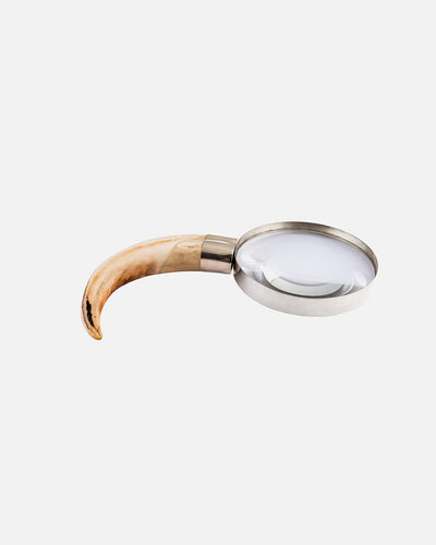 Magnifying Glass in Silver, Wild Boar Tooth.