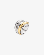 Classic Ring in Silver with Gold